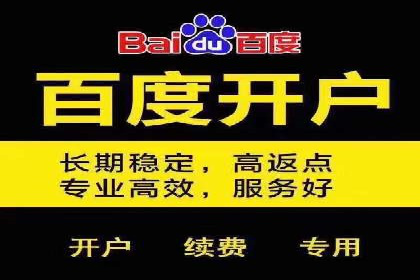 某公司SEM广告投放的全程回顾与效果评估